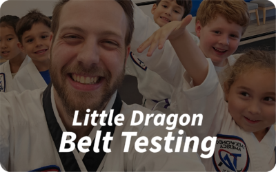 Little Dragon Belt Testing