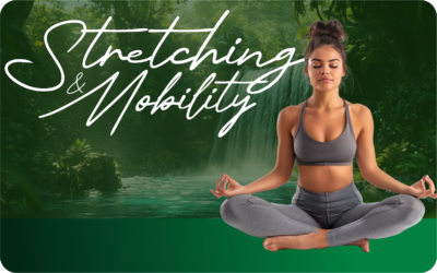 Stretching and Mobility Class